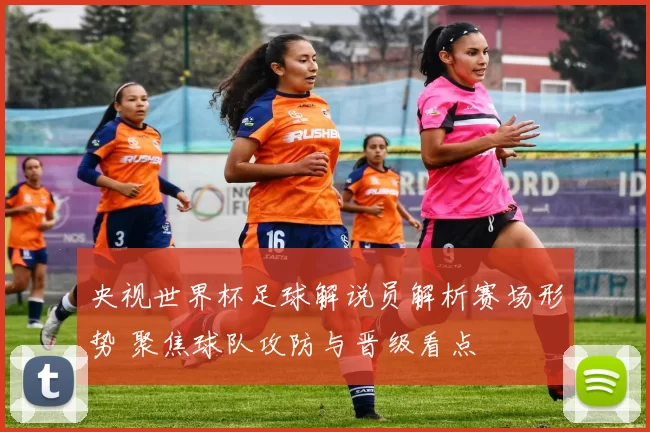 央视世界杯足球解说员解析赛场形势 聚焦球队攻防与晋级看点