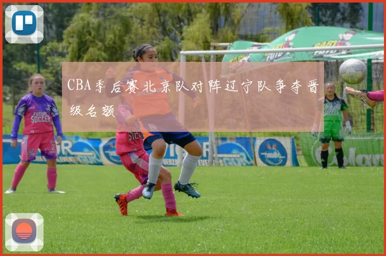 CBA季后赛北京队对阵辽宁队争夺晋级名额
