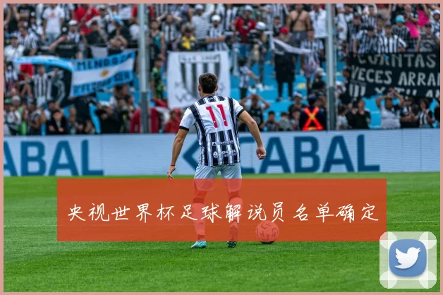 央视世界杯足球解说员名单确定
