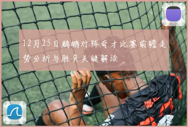 12月25日鹈鹕对阵奇才比赛前瞻走势分析与胜负关键解读