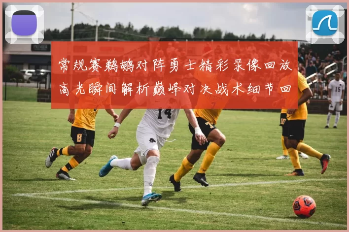 常规赛鹈鹕对阵勇士精彩录像回放高光瞬间解析巅峰对决战术细节回顾