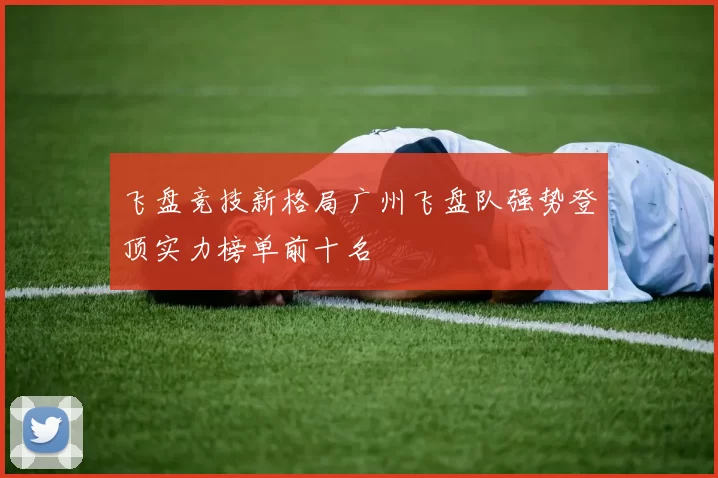 飞盘竞技新格局广州飞盘队强势登顶实力榜单前十名