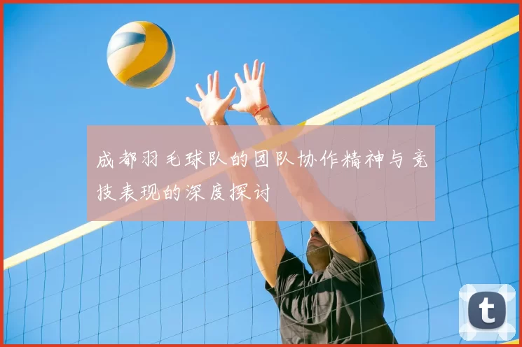 成都羽毛球队的团队协作精神与竞技表现的深度探讨