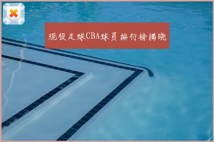 现役足球CBA球员排行榜揭晓