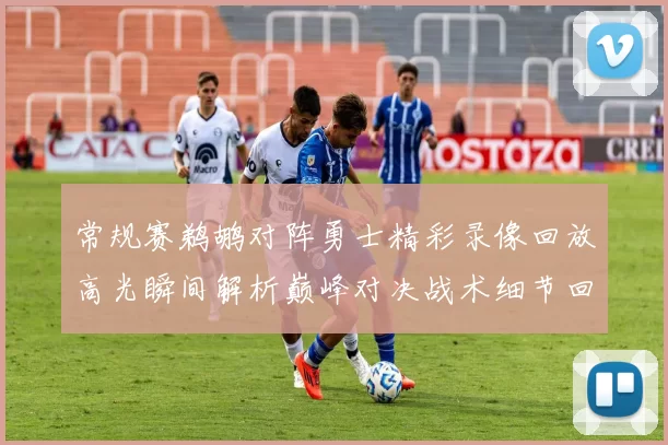 常规赛鹈鹕对阵勇士精彩录像回放高光瞬间解析巅峰对决战术细节回顾