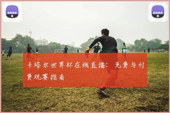 卡塔尔世界杯在线直播：免费与付费观赛指南