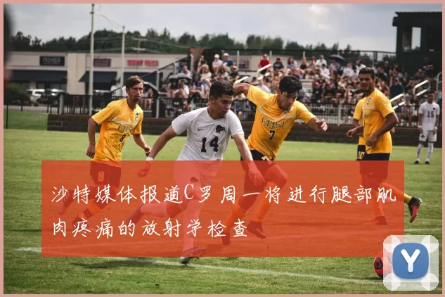 沙特媒体报道C罗周一将进行腿部肌肉疼痛的放射学检查