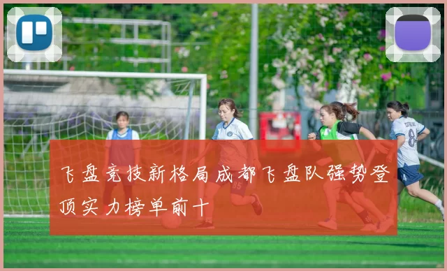 飞盘竞技新格局成都飞盘队强势登顶实力榜单前十