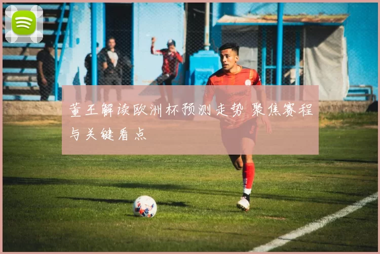 董王解读欧洲杯预测走势 聚焦赛程与关键看点