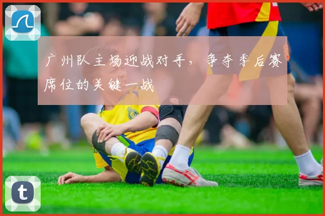 广州队主场迎战对手,争夺季后赛席位的关键一战