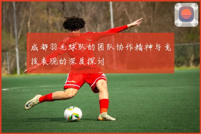 成都羽毛球队的团队协作精神与竞技表现的深度探讨