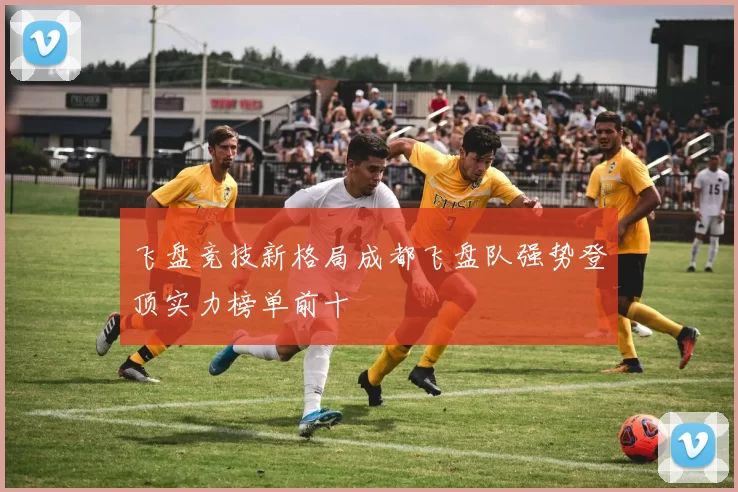 飞盘竞技新格局成都飞盘队强势登顶实力榜单前十