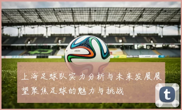 上海足球队实力分析与未来发展展望聚焦足球的魅力与挑战