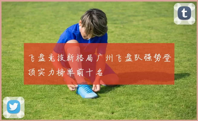 飞盘竞技新格局广州飞盘队强势登顶实力榜单前十名