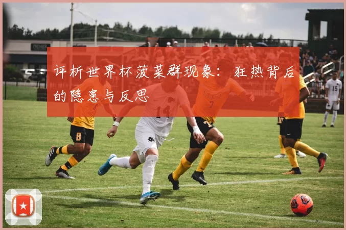 评析世界杯菠菜群现象：狂热背后的隐患与反思