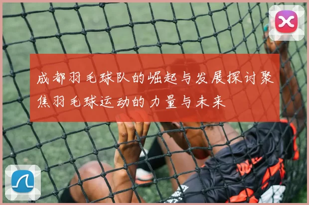 成都羽毛球队的崛起与发展探讨聚焦羽毛球运动的力量与未来