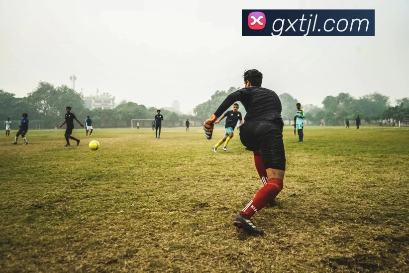 kaiyun平台生态图